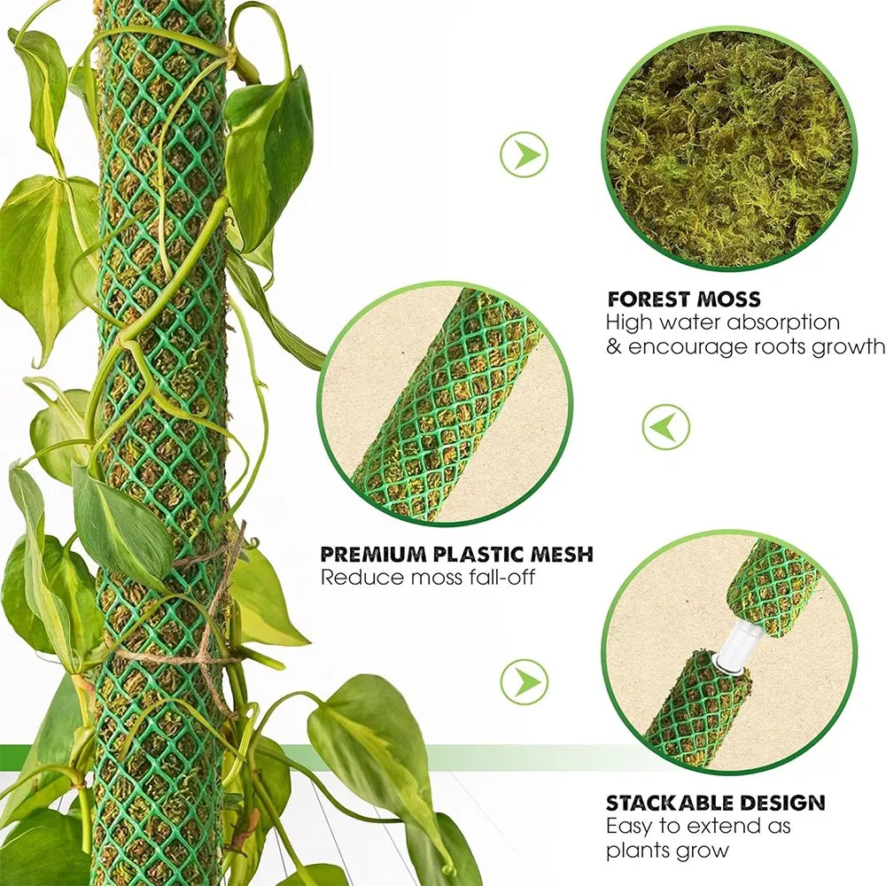 Aerial Root-Friendly Breathable Green Plastic Grid Moss Pole for Philodendron Vertical Growth Monstera Deliciosa