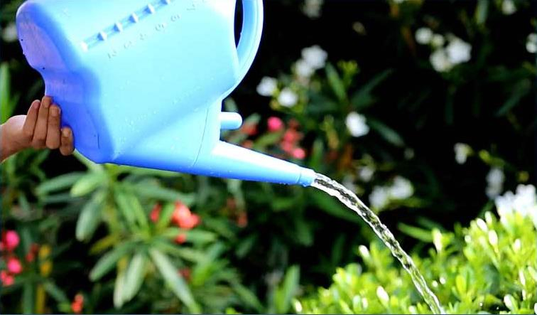 Hot Sold 12L Plastic Garden Household Water Pot Watering Can