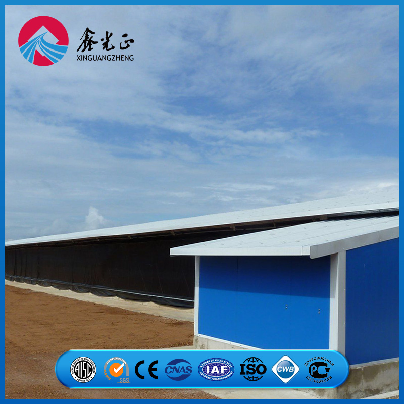 Optimized Steel Beam Support Structure Chicken Prefab Metal Farming Equipment Steel Structure Sheep/Goat/Pig/Hog/Cattle/Cow/Poultry House/Shed