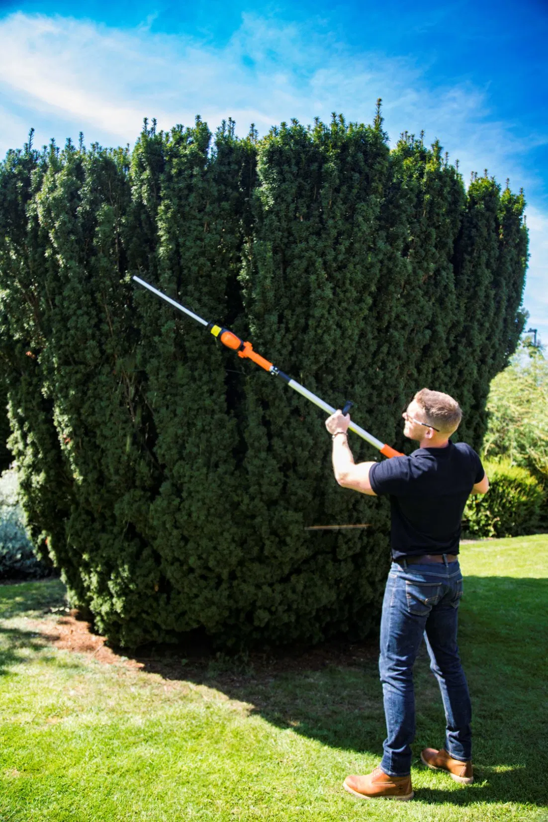 Proper Gap Tooth Design Cutting Long Reach Tree Hedge Lh C41A Trimmer