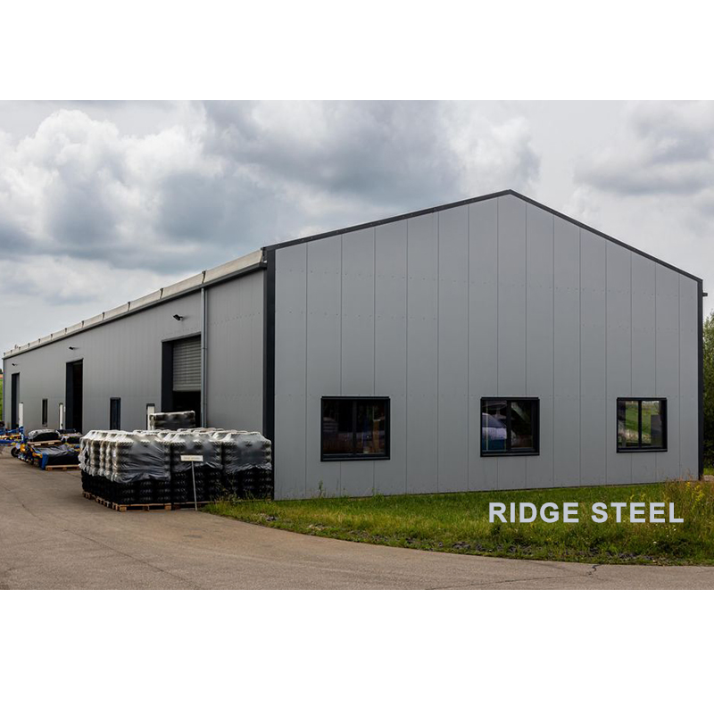 Popular Modern Design Economic Prefab Steel Structure Shed