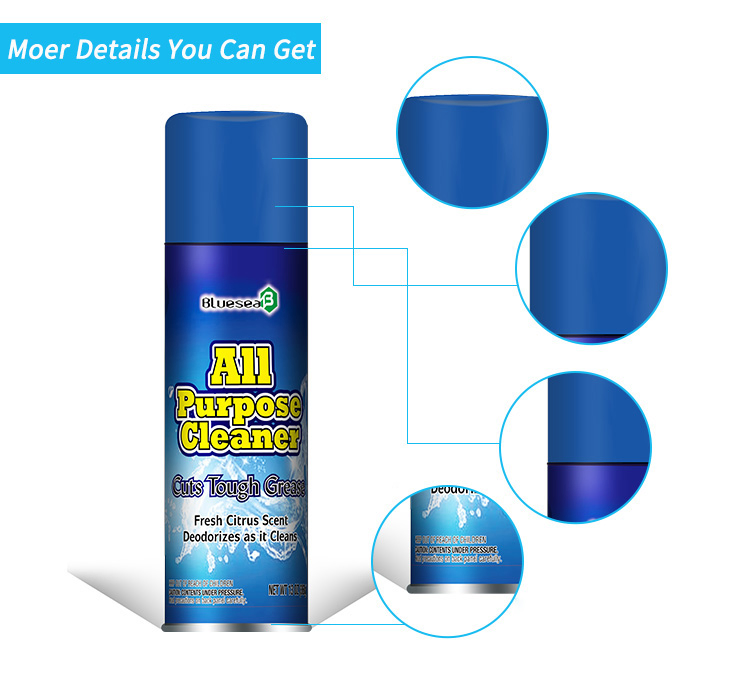 OEM Car Stain Cleaning Detergent Spray Multifunctional Car Foam Cleaner Spray