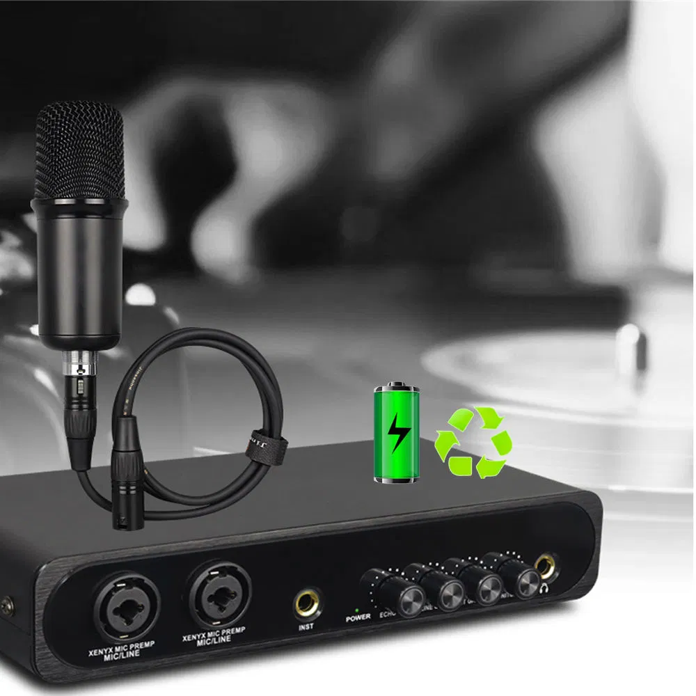 Rechargeable Karaoke Audio Interface with DSP and USB Sound Card