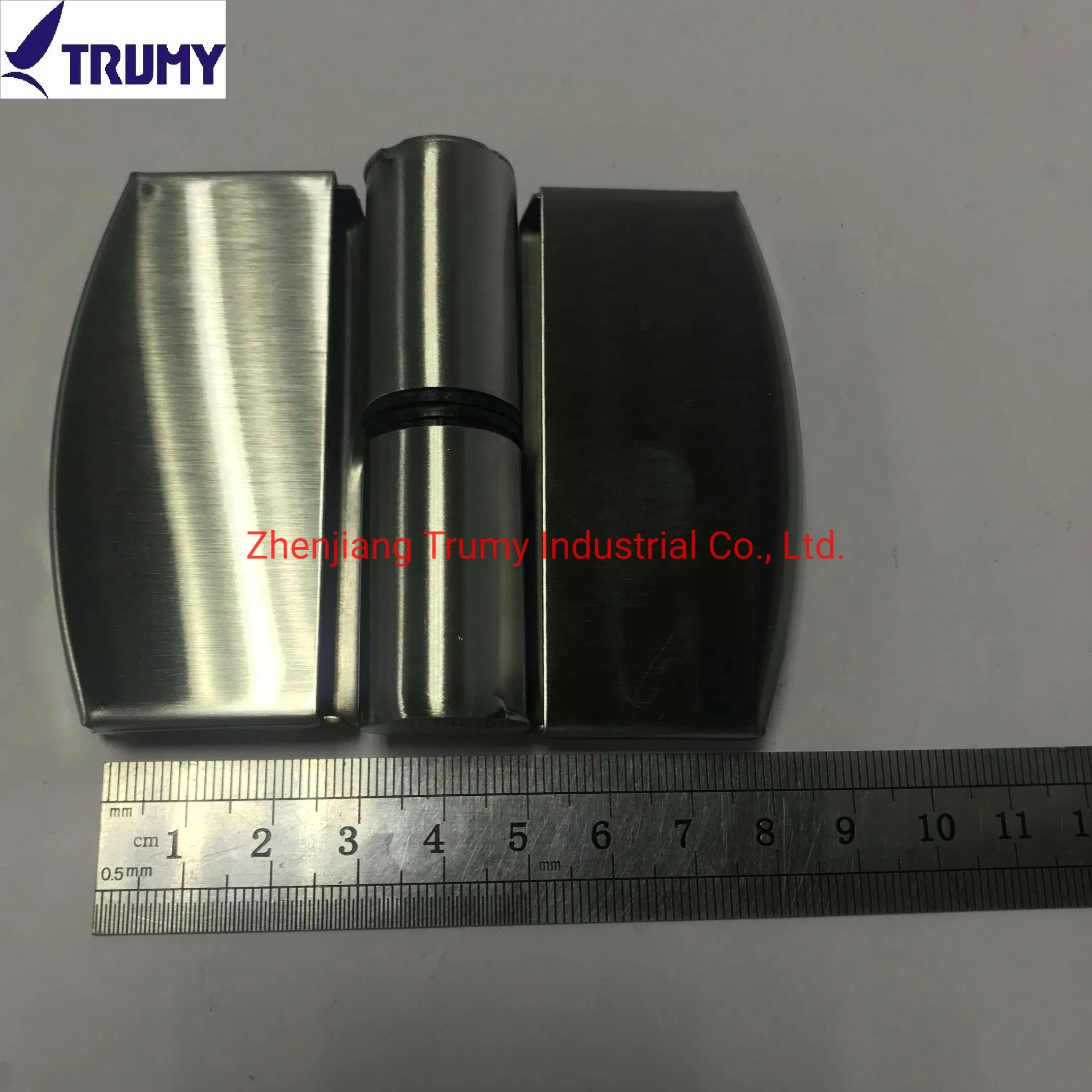Zinc Alloy Toilet Cubicle Partition Hardware Door Hinges for Sales