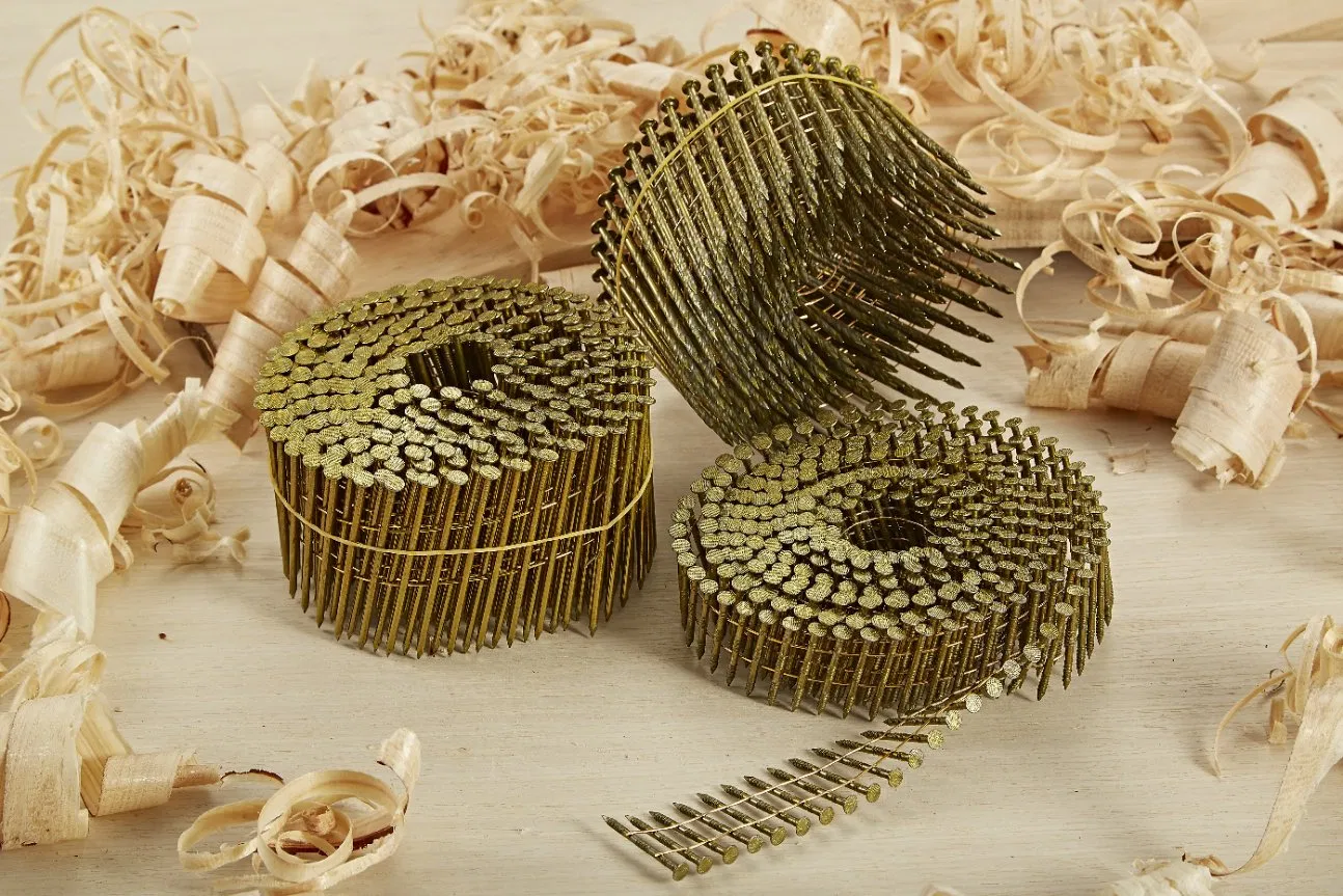 15 Deg Coil /Staple/Brad Nails for Construction, Decoration, Packaging