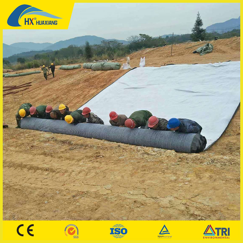 3000g 4000g 5000g 6000g 7000g 8000g/Sqm Geosynthetic Clay Liner Gcl for Garbage