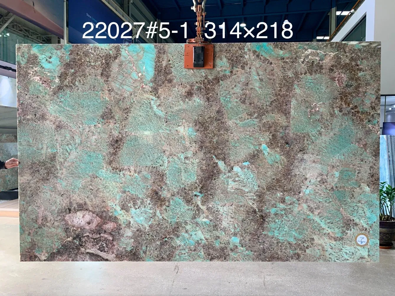 Amazonite Green/Tffiany Blue Brazil Green Quartzite for Tiles & Slabs
