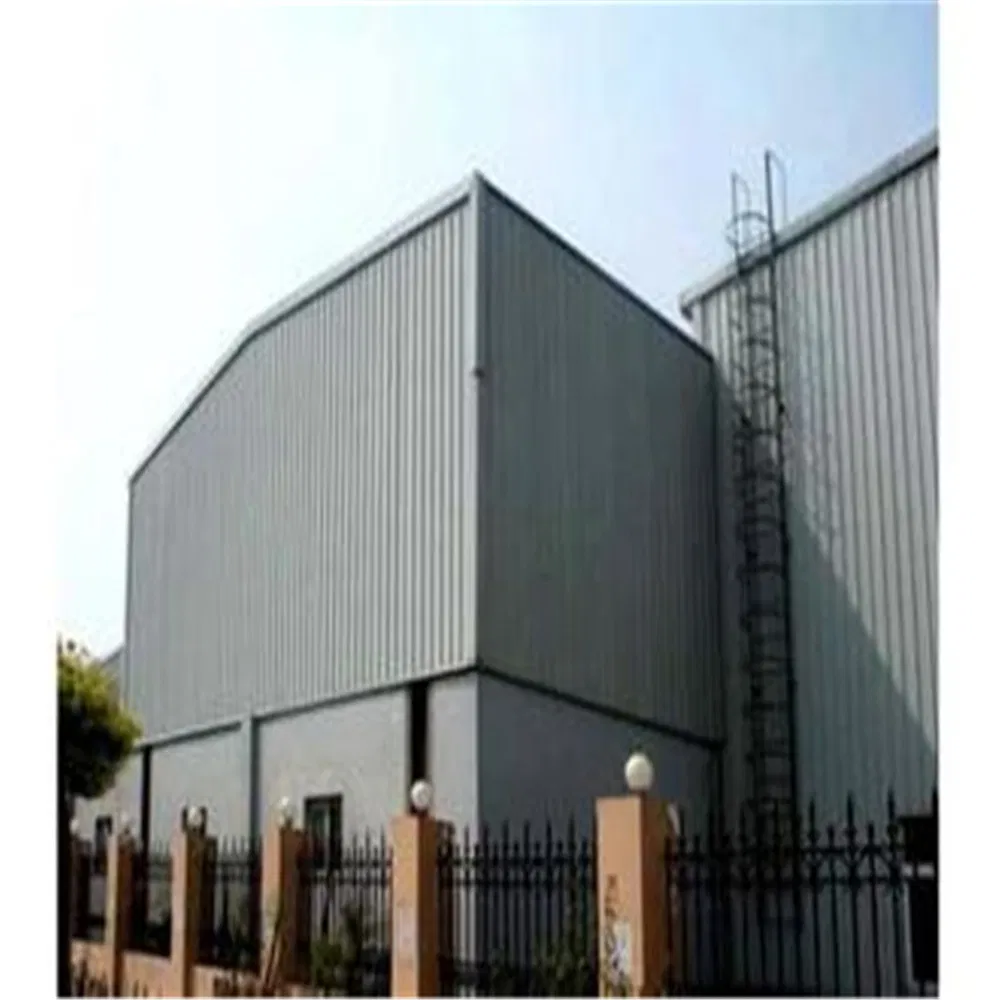 Customized Prefabricated Steel Structural Frame Garage