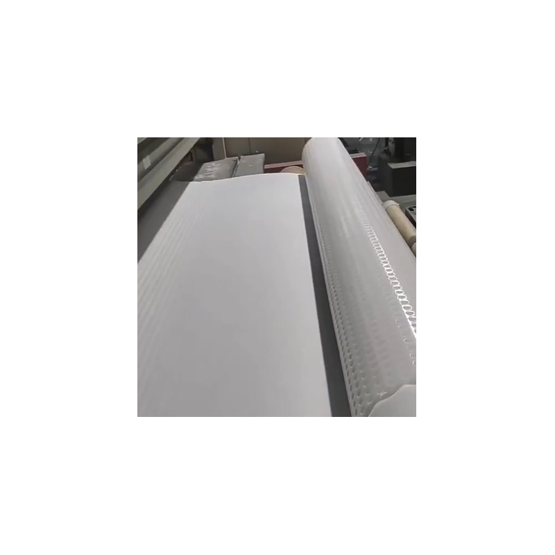 0.2-4mm Thick HDPE Siphon Drainage Board for Roof Garden