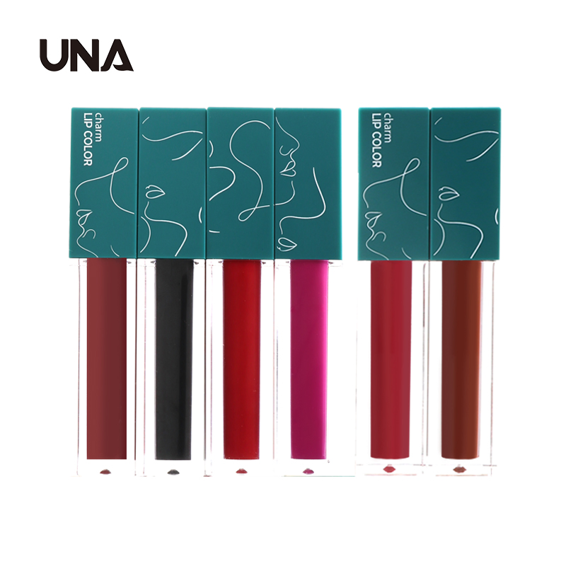 Cosmetics Vendor Hot Sale Fashion 6 Colors Bulk Custom Logo Matte Lip Gloss