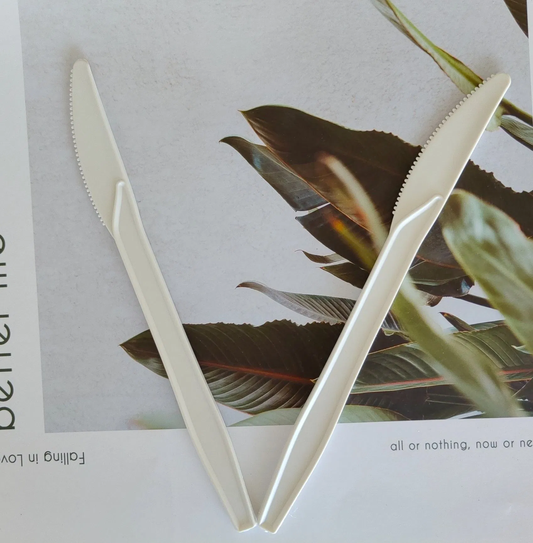 Disposable Knives Heavy Duty Fork Spoon Utensil Packs for Parties Sustainable Travel Options
