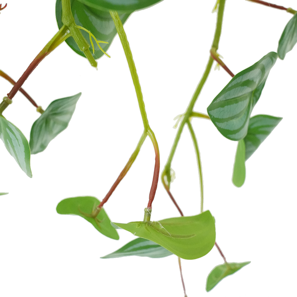 Растения искусственные настенные в горшке