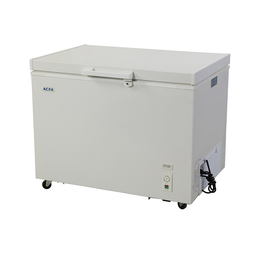 China Manufacturer Wholesale Price Mini Showcase Deep Freezer Foam Door Chest Freezer with Lock Fridge Refrigerator for Home Cooler Commercial Refrigerator