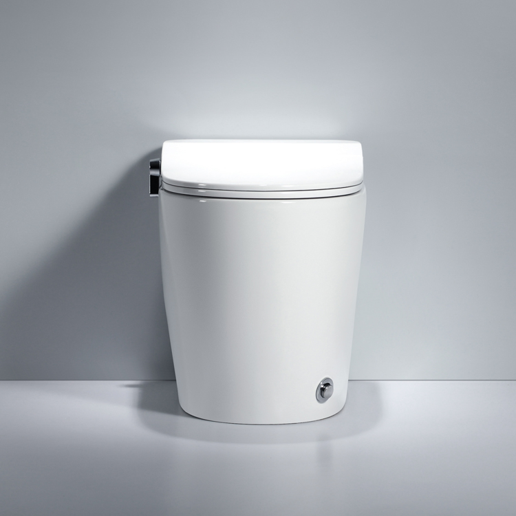 Foot Kick Flushing Ceramic Sanitary Composting One Piece Toilet