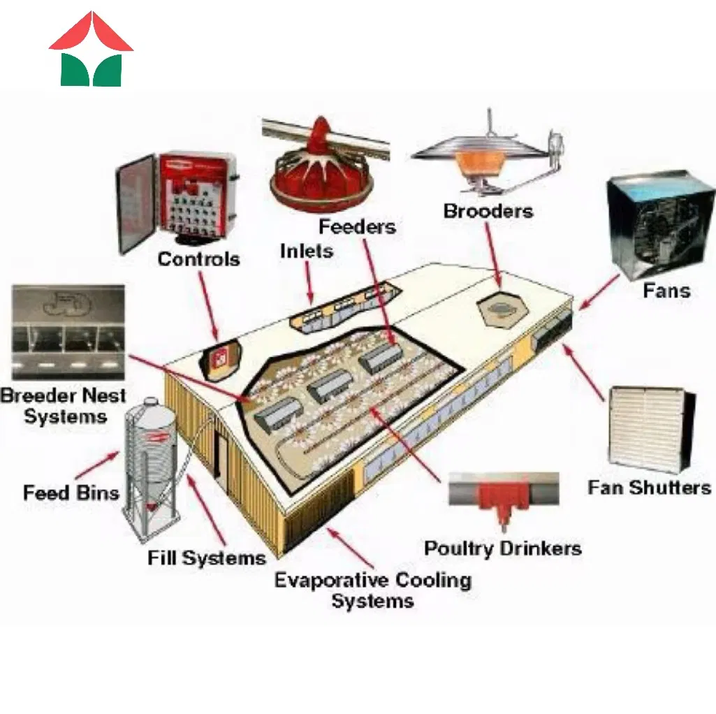 Steel Poultry Farm Shed Design Chicken Breeding House
