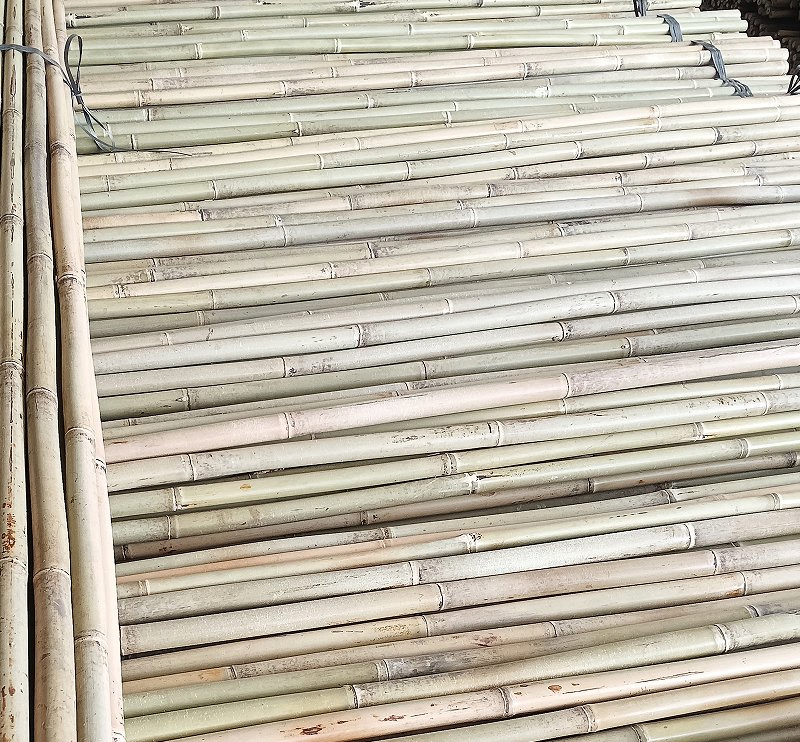 Bamboo Poles for Natural Scaffolding in Gardens/Bamboo Culms