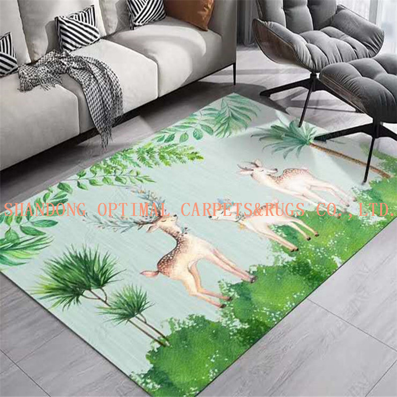 Washable Digital Transfer Dye Sublimation Photo Printed Kitchen Door Floor Rugs
