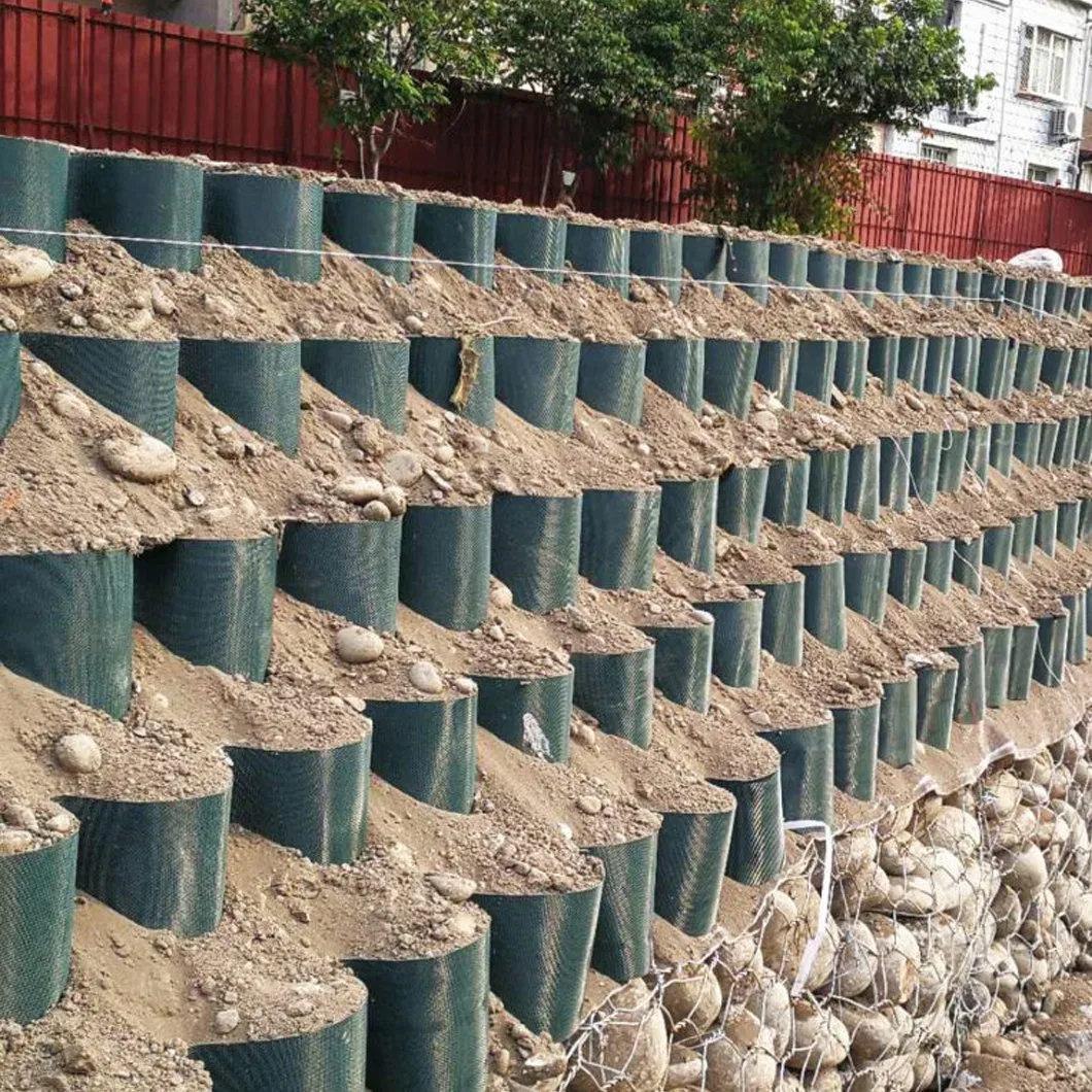 Direct Sales to Reduce Engineering Costs Gravel Stabilizer Grid HDPE Perforated Geocell