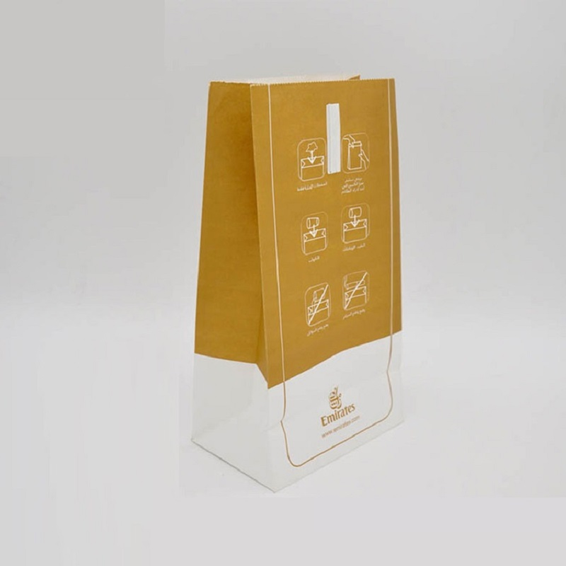 Customized Printing Disposable Sickness Paper Bag Airline Paper Air Sickness Bag