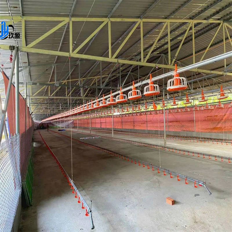 Structured Construction of Chicken Farms, Prefabricated Houses for Poultry, Broiler Farming, Full-Function Chicken House Facilities and Accessories