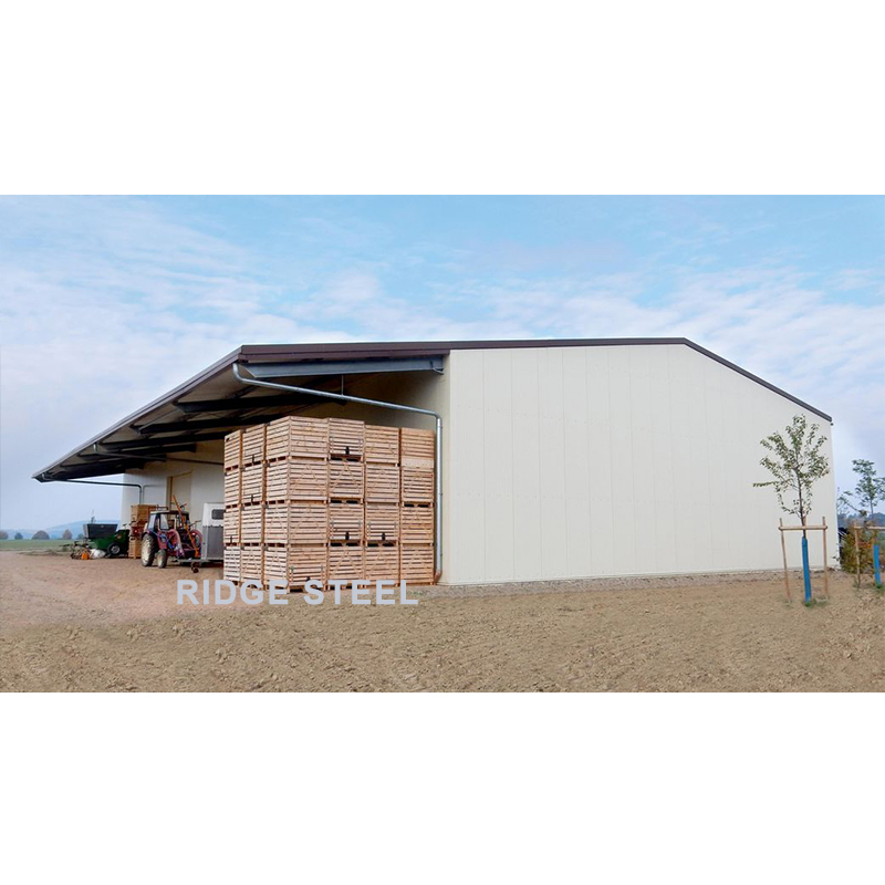 Cheap Price China Large Span Industrial Metal Building Steel Structural Workshop