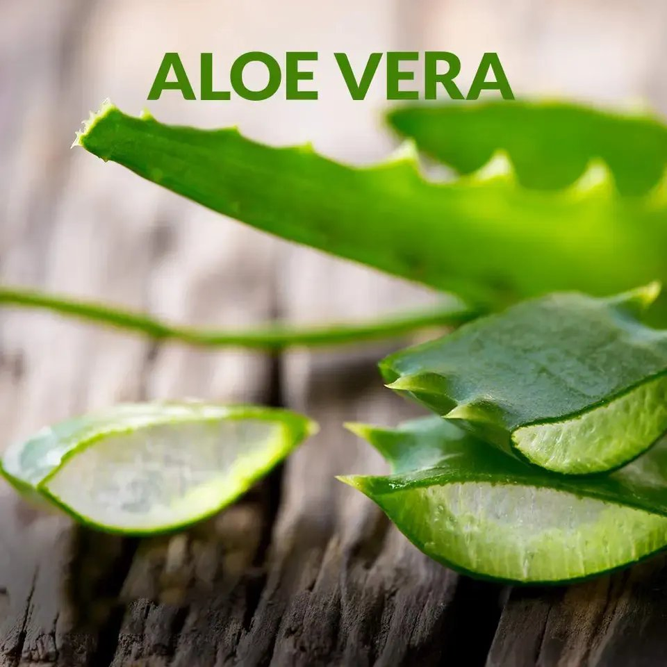 300g Soothing and Removing Sensitive Skin Aloe Vera Gel