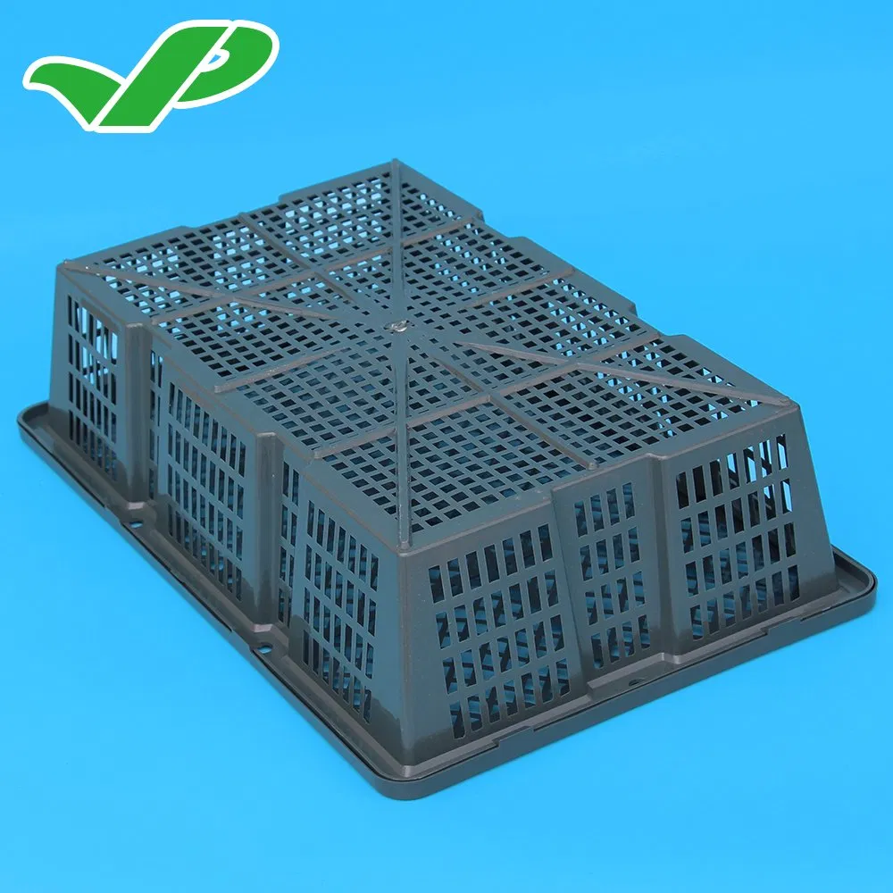 Stackable Plastic Crates for Loading Seafood