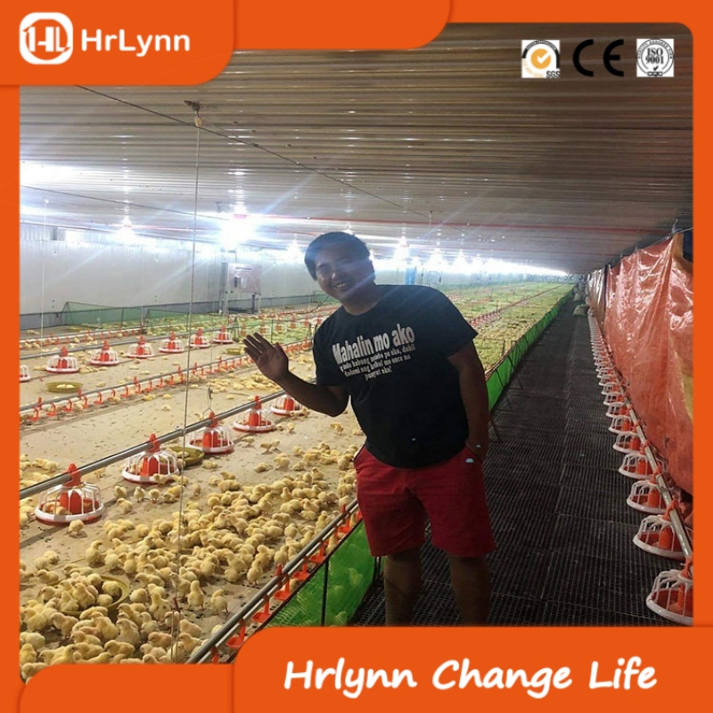 Free-Range Chicken House with Steel Structure