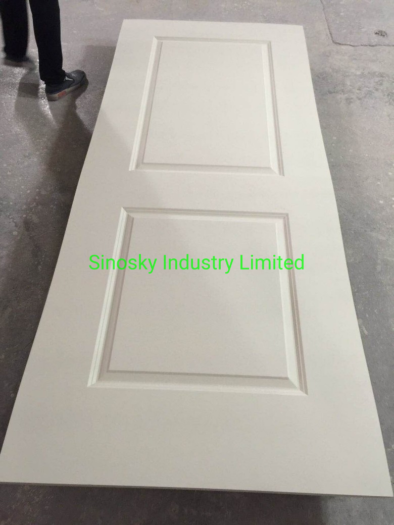 Moulded Door Skins and Door