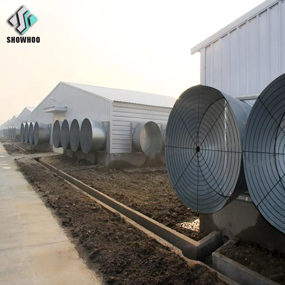 Modern Farmhouse-Style Automatic Poultry House Steel Structure