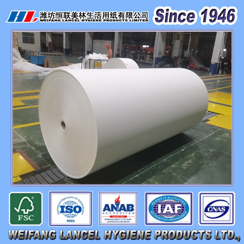 Eco-Conscious Disposable Virgin Wood Pulp Toilet/Bath Paper 1600/1500/1400/1200mm Width Jumbo Roll Tissue Paper Making Paper for Factories