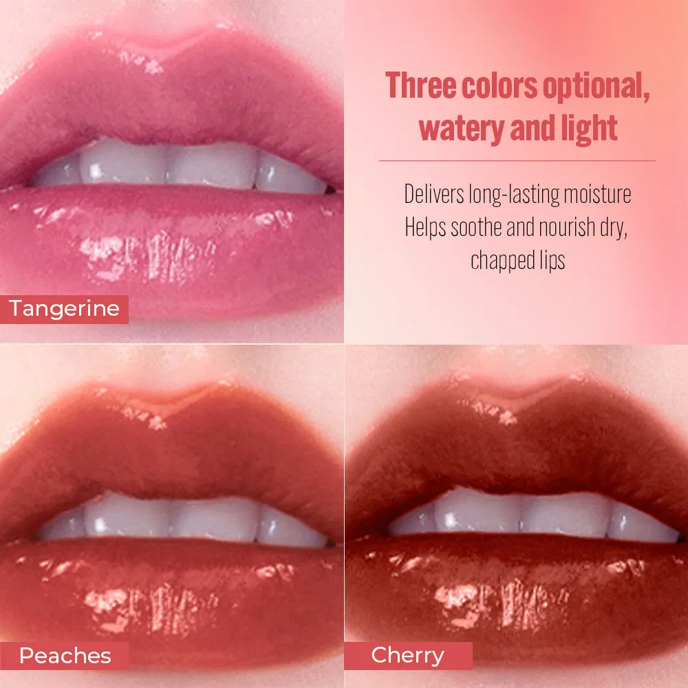 Long-Lasting Glossy Moisturizer Hydrating Honey Natural Plumper Liquid Lip Essence Oil