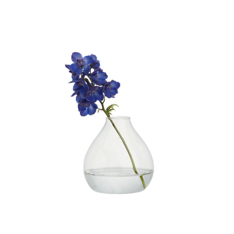 Transparent Large Glass Vase/ Flower in Different Container/ Home Decorations