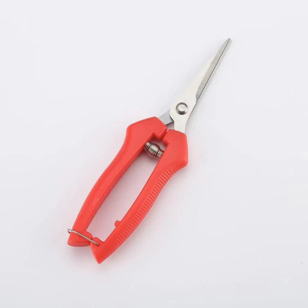Gardening Shears Fruit Pruning and Thinning Scissors for Orange, Vegetable, and Grape Picking