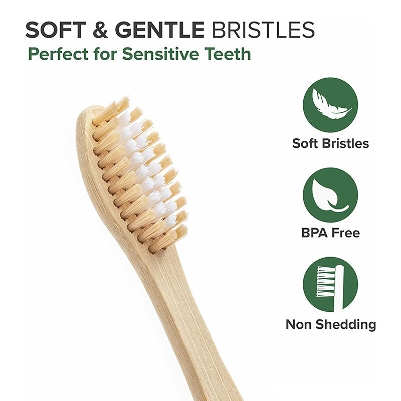 10 Packs of Biodegradable Eco-Friendly BPA-Free Soft Nylon Bamboo Toothbrush
