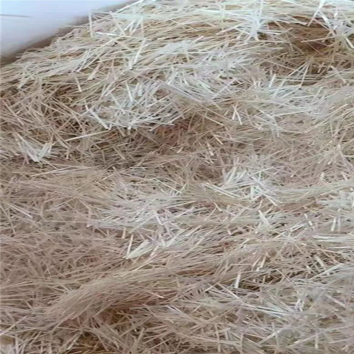 24mm Chopped Strand for Concrete and Grc