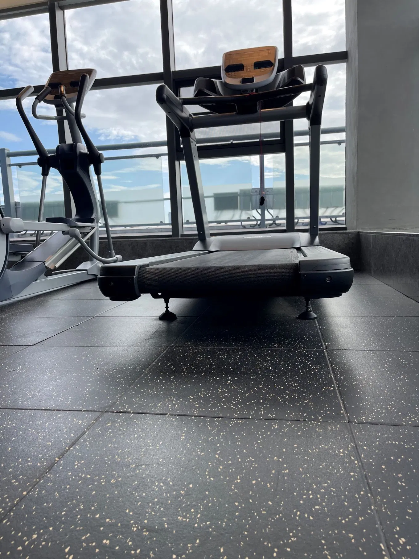 Four Seasons, Ritz-Carlton, Westin 5-Star Luxury Hotel Commercial High-End Gym Rubber Flooring