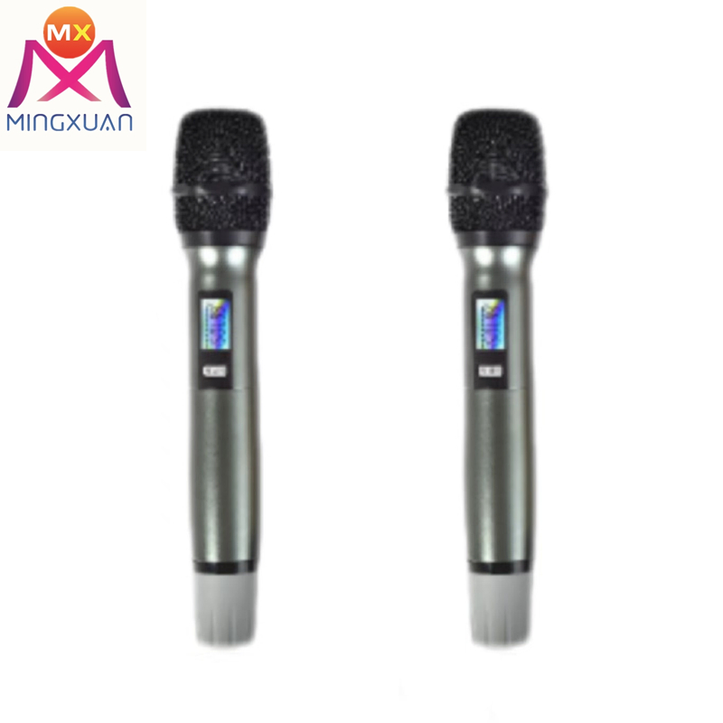 Double Handheld Dual Channel Wireless 2 Microphone Inputs Audio Digital Processor