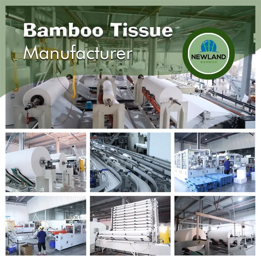 100% Virgin Unbleached Bamboo Toilet Tissue Rolls 1 Ply Factory Wholesale