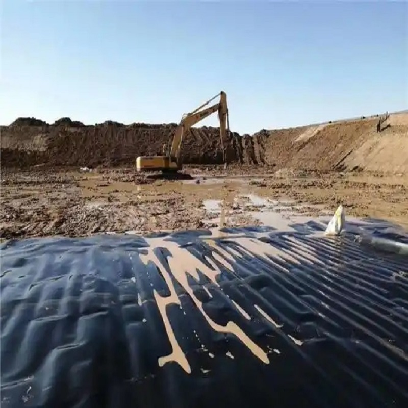 Plastic Film Liner 0.5mm/1mm/2mm HDPE/LDPE/LLDPE/PVC Geomembrane for Pood/Lake/River/Aquaculture/Dam/Landfill/Fish/Farming Tank Price