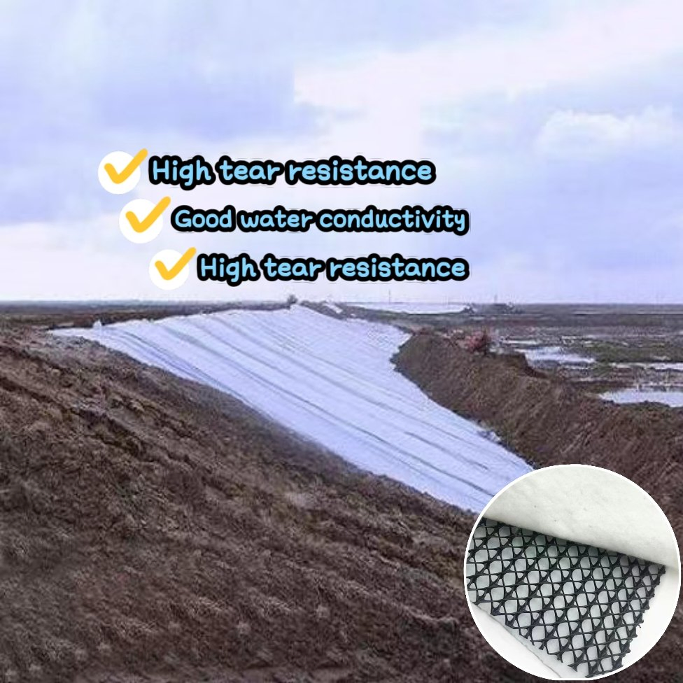 Permanent Drainage Infrastructure: 3D Composite Geonet for Canal Slope Stabilization