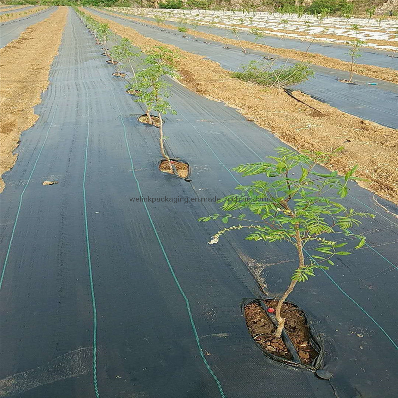 SGS Brc Certified Landscape Fabric Garden Farm Hydroponic UV Blocked Ground Cover 100GSM Best PP Woven Fabric Weed Control Fabric Weedmat