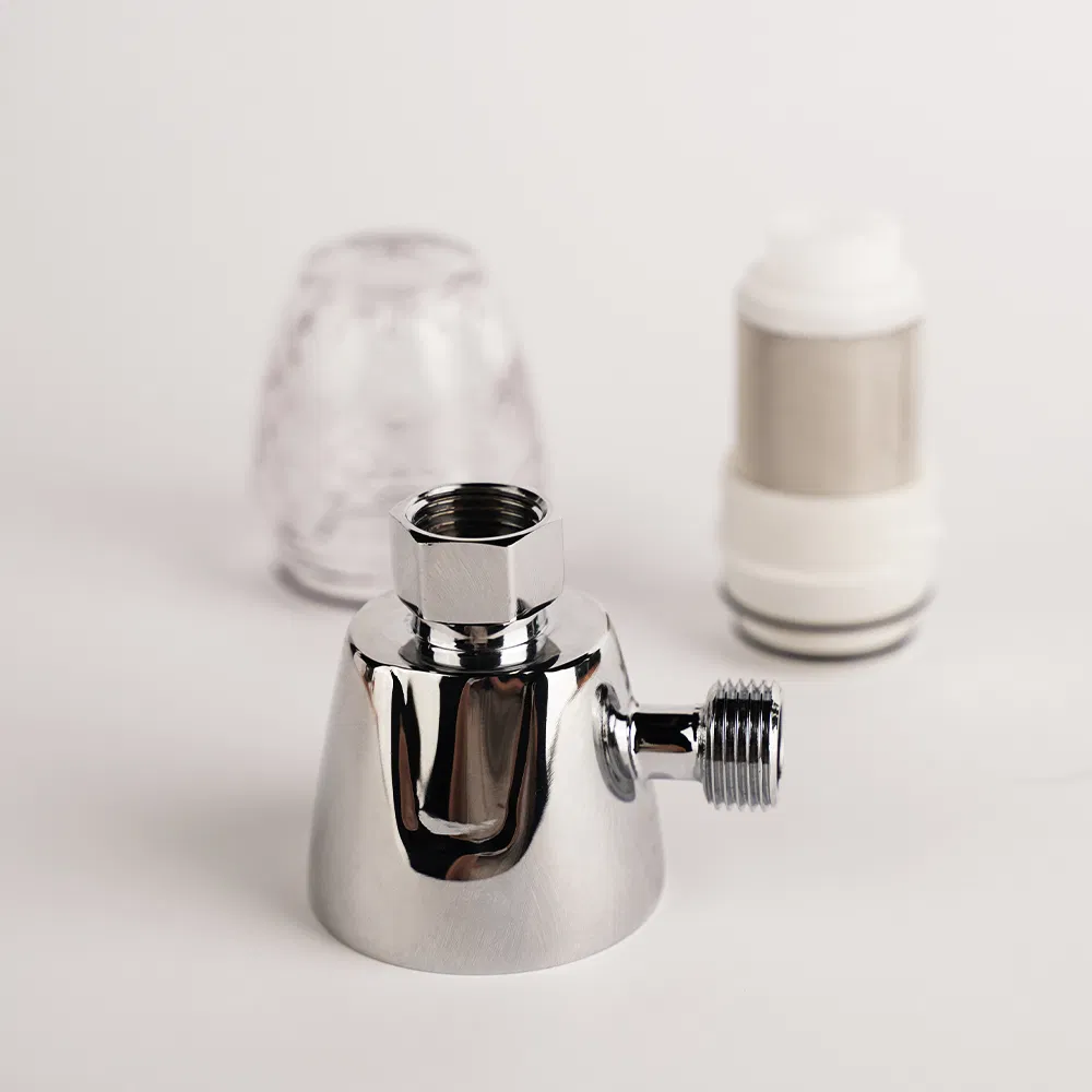 Smart Toilet Dual Water Path Anti Scale Water Filter