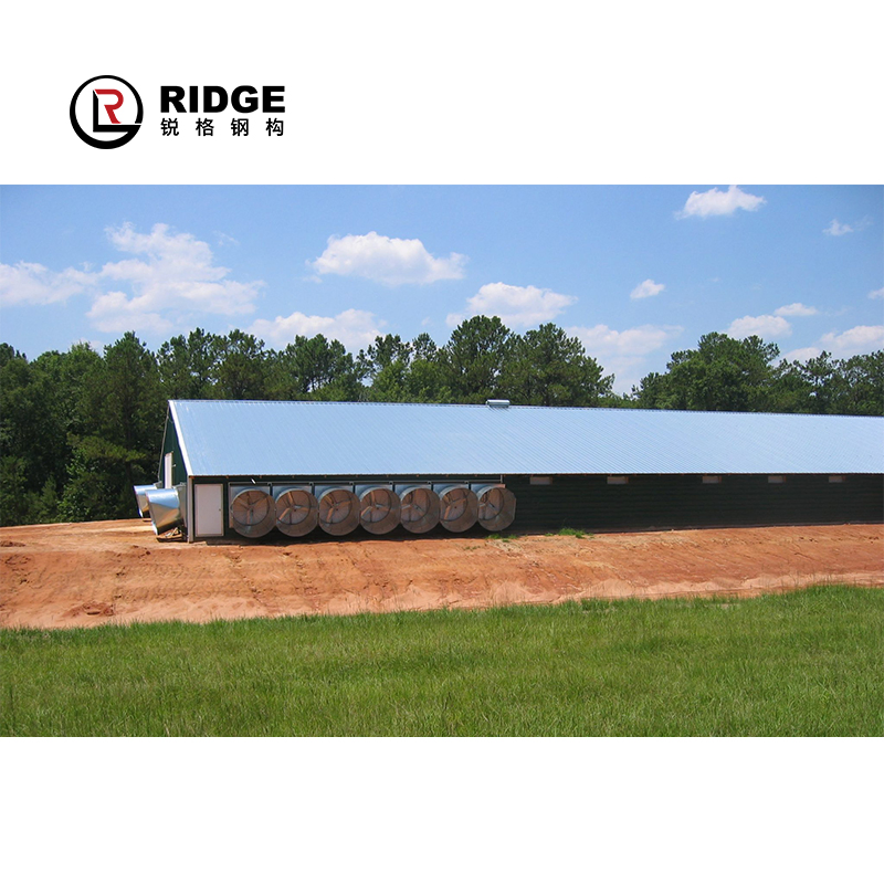 Steel Structure Prefab Chicken Cow House Design Shed Poultry Farm