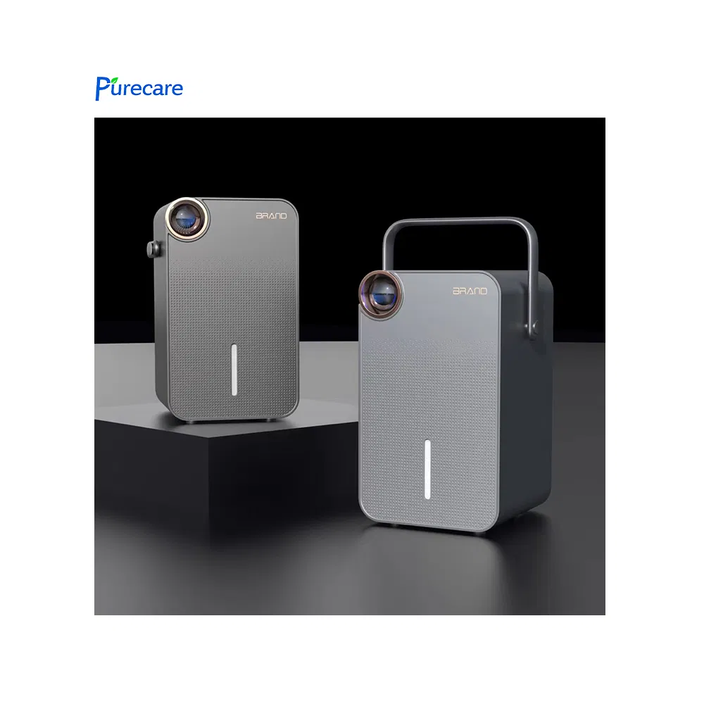 Air Dryer Moisture Removal Portable Small Air Dehumidifier