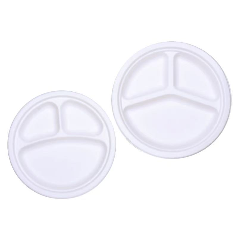 100% Compostable Disposable Paper Plates, 125 Pack, Pfas Free, Bpi Certified, 9 Inch Heavy Duty, Eco Friendly Biodegradable PLA Dishes Plates