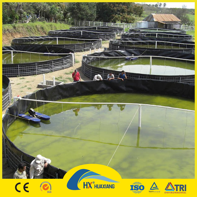 0.2mm to 3.0mm Thickness 1m to 8m Width Premium Quality HDPE Smooth Geomembrane