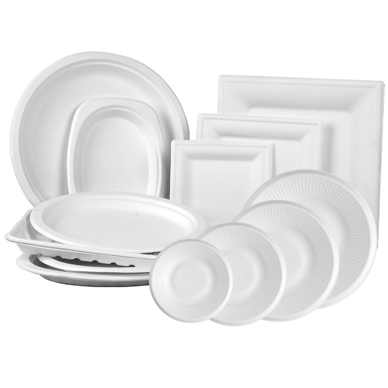 Hot Sale Disposable Sugarcane Pulp Bagasse Paper Plates