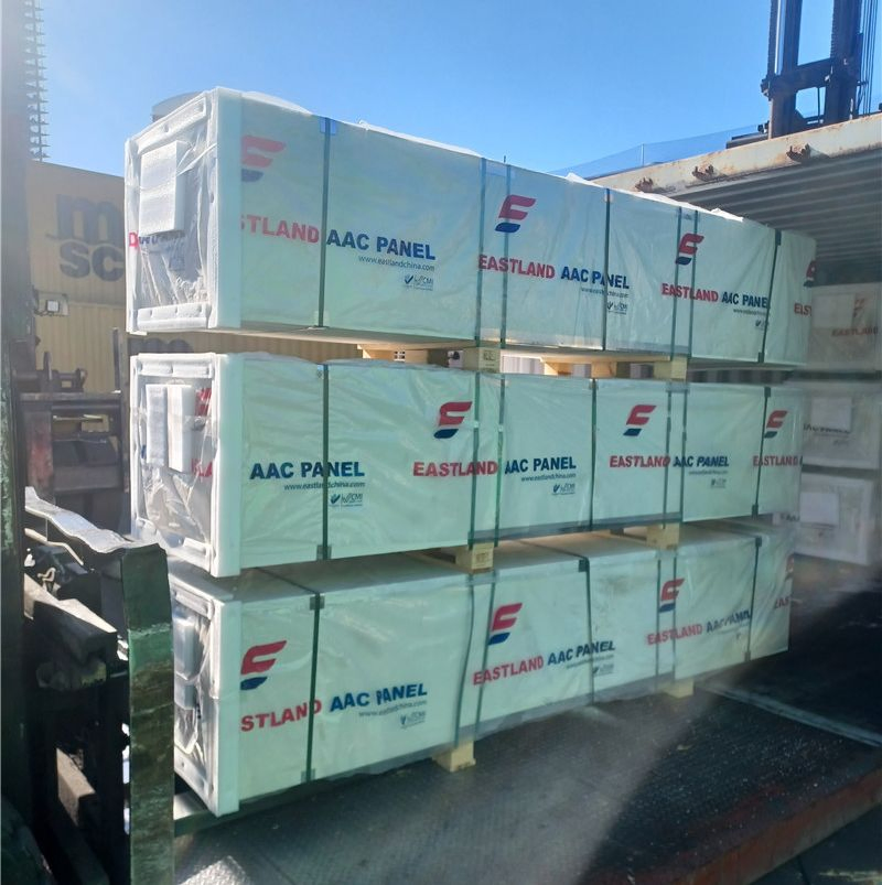 Lightweight Concrete Exterior/Interior AAC/Alc Wall Panel