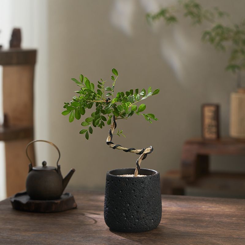 Горшок цветочный вулканический камень